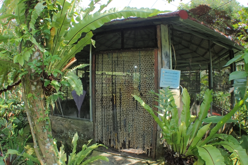 Pupae Sanctuary (さなぎの聖域)入り口